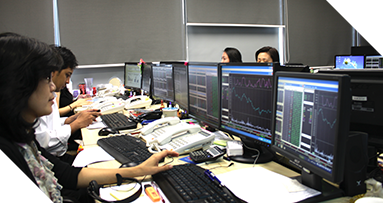 Institutional Team